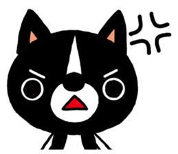 623990