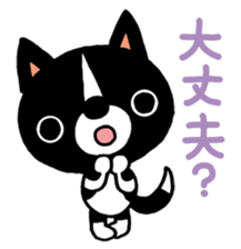 623998