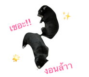 624102548