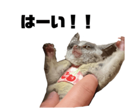 624116590