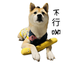 624126765
