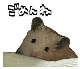 624218163