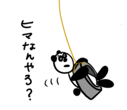 6242462
