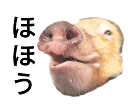 624256244