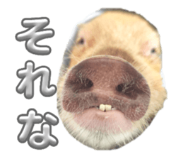 624256245