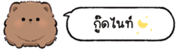 624289893