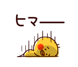 6243003