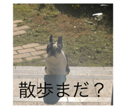 624304851