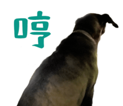 624306628