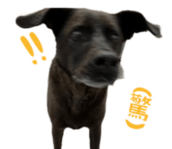 624306631