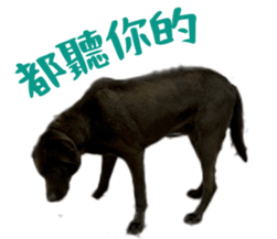 624306632