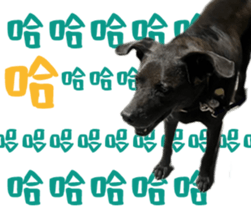 624306638