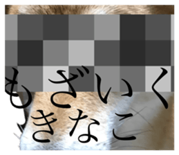624331055