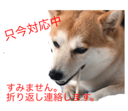 624350806