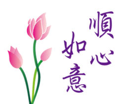 62435314
