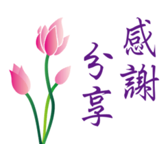 62435318