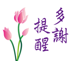 62435324