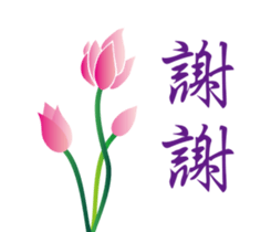 62435326