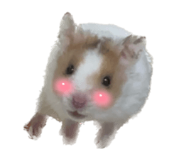 624361888
