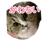 624392622