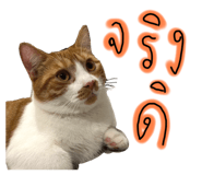624394184