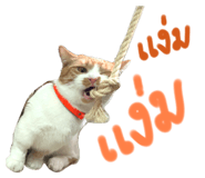624394185