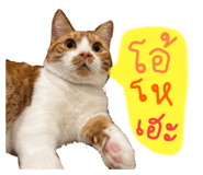 624394188