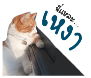 624394200