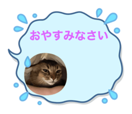 624428394