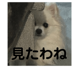 624431574