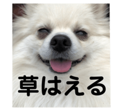 624431577