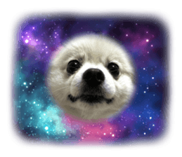 624431587