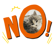 624443384