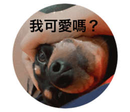 624453421