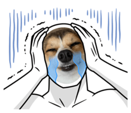 624464052