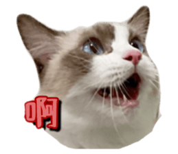 624531022