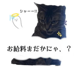 624531228