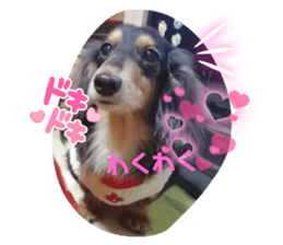 624533361