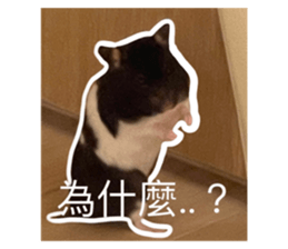 624537485
