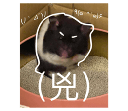 624537491