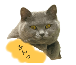 624537847