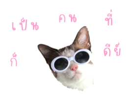 624542369