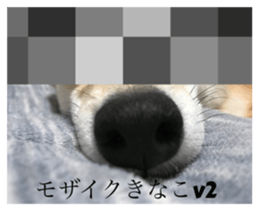 624549997