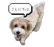 624563098
