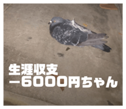 624566048