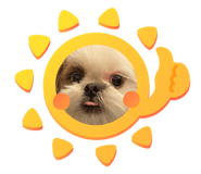 624575559