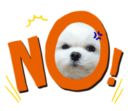624575563