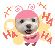 624575565