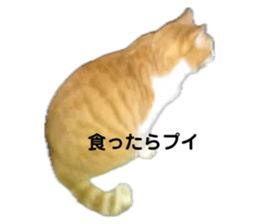624576784