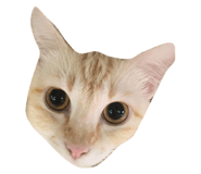 624578363